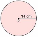 example of Circumference