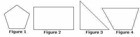  example of  Equilateral Polygon 