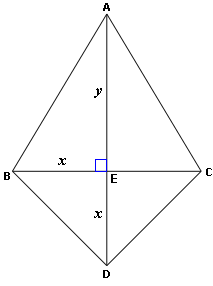 Math Kite