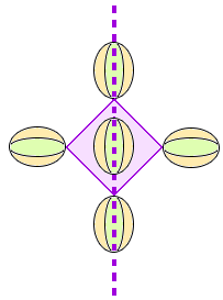example of  Line of Symmetry 