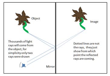 Reflection in plane mirrors