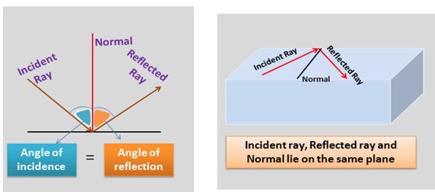 Definition of Reflection